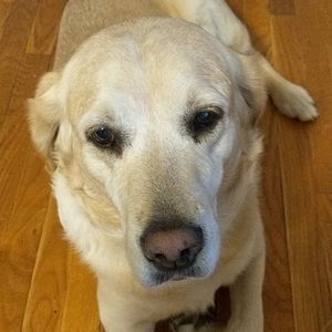 I am getting rid of my Poshmark clothes